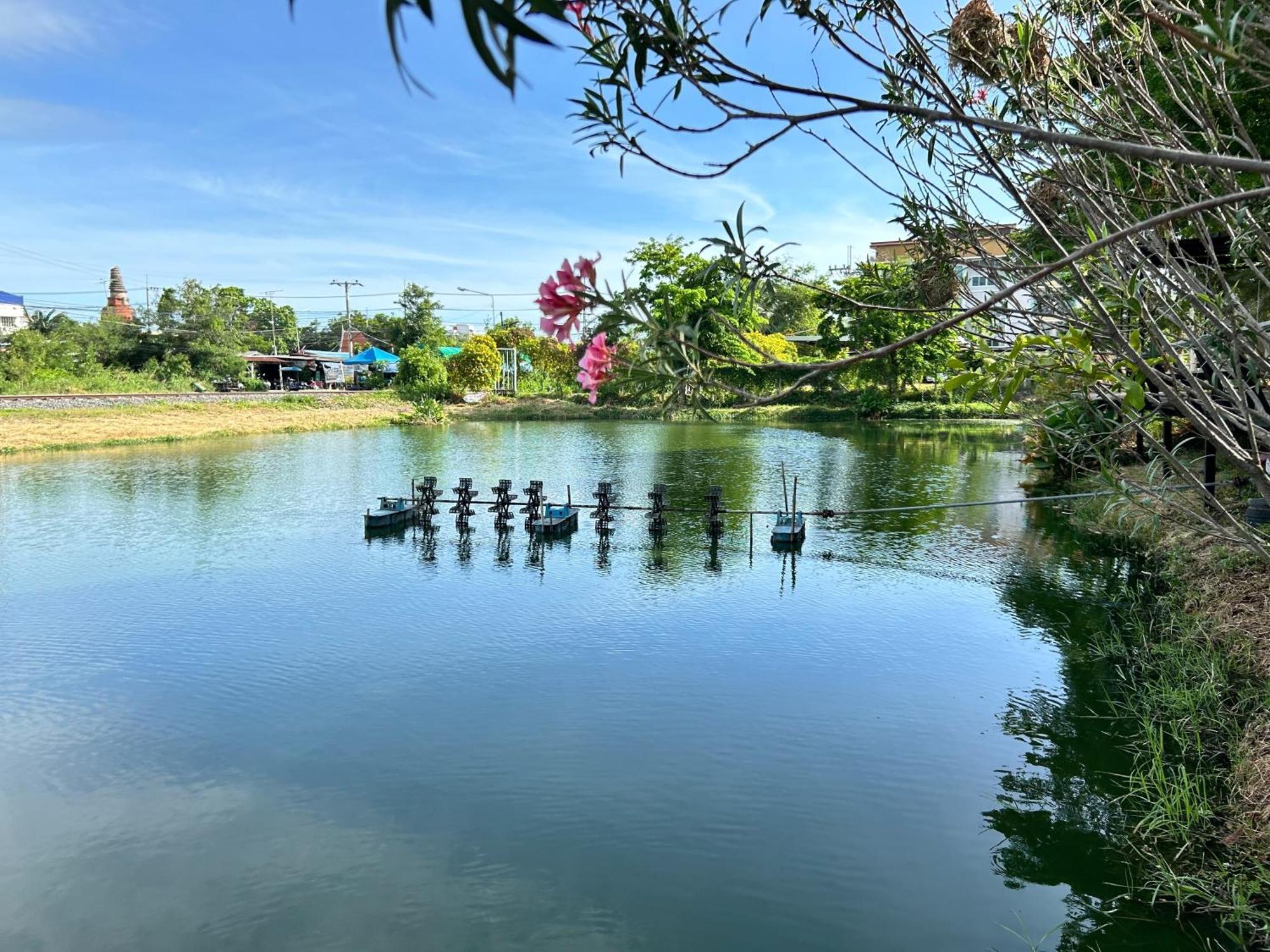 Dd Boutique Resort Ban Wat Pa Exterior foto